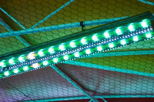 Phosphors-in-Lighting-and-Displays